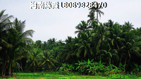 房貸利率新政解讀 房貸利率新政下應(yīng)該如何海南買房