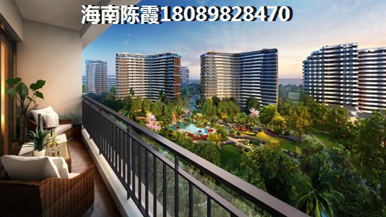 火炬之光端游國服能玩嗎