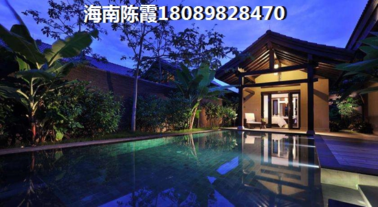 奶茶店里放什么樹醉好看